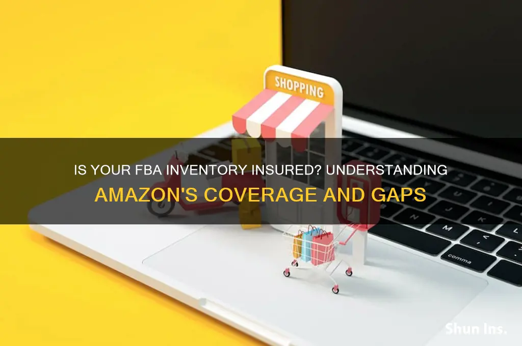 is fba inventory insured