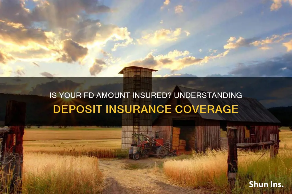 is fd amount insured