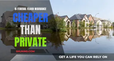 Flood Insurance: Federal vs Private — Cheaper Option?