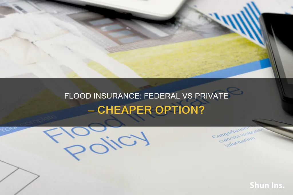 is federal flood insurance cheaper than private