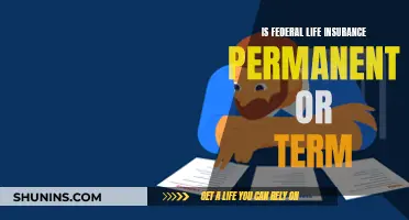 Federal Life Insurance: Permanent or Term?