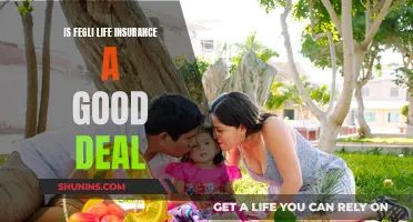 Fegli Life Insurance: Is It Worth the Cost?