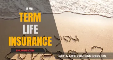 FEGLI Term Life Insurance: Is It Worth the Cost?