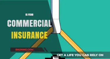 Fehb Commercial Insurance: What You Need to Know