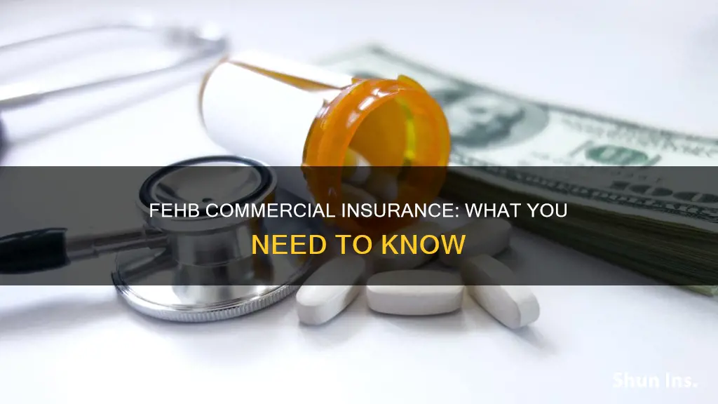 is fehb commercial insurance