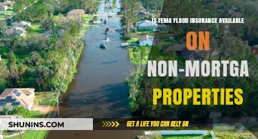 FEMA Flood Insurance: Available for Non-Mortgaged Properties?