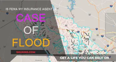 FEMA and Flood Insurance: What You Need to Know