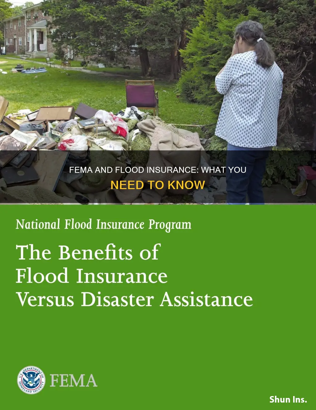is fema my insurance agent in case of flood