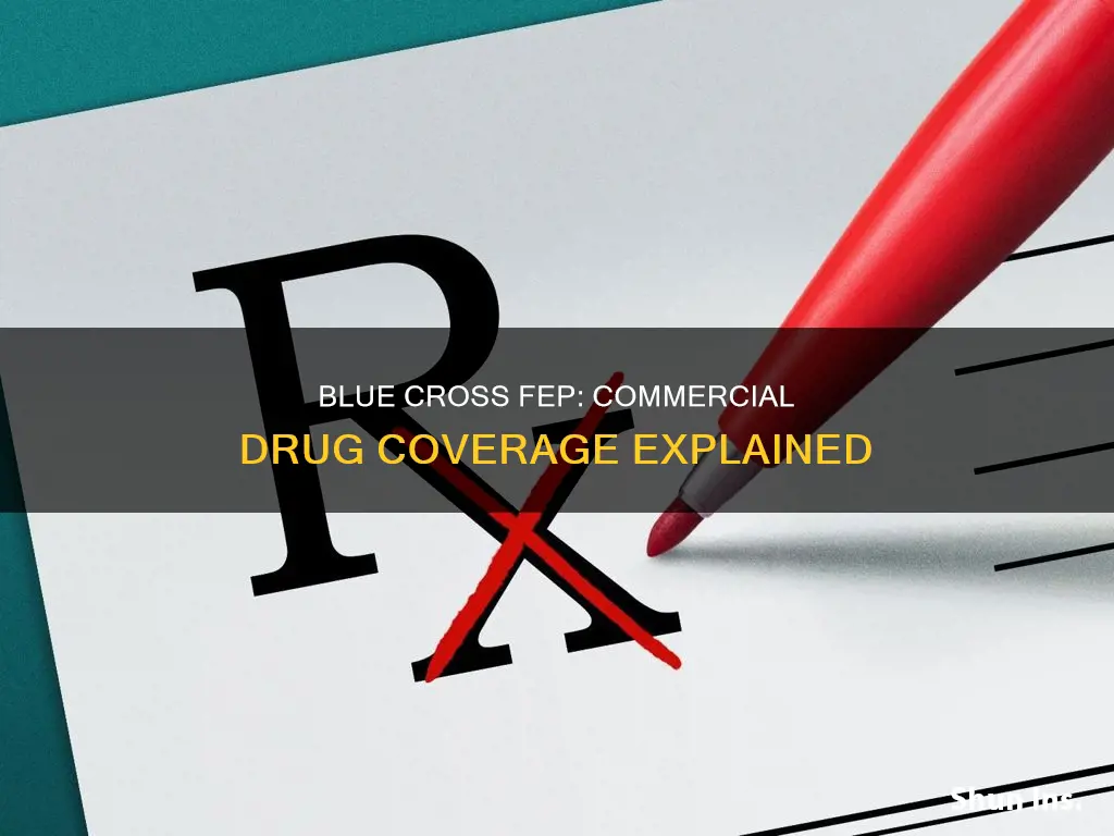 is fep blue cross commercial prescription drug insurance