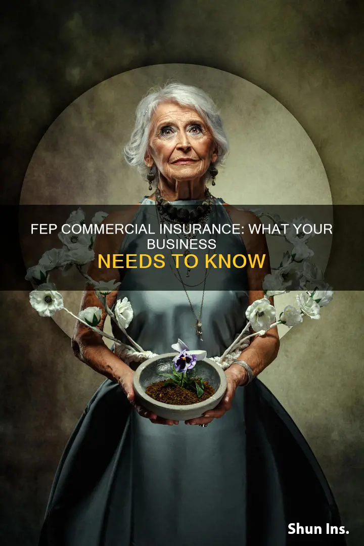 is fep commercial insurance