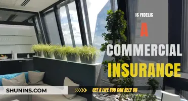 Fidelis: Commercial Insurance and Its Benefits