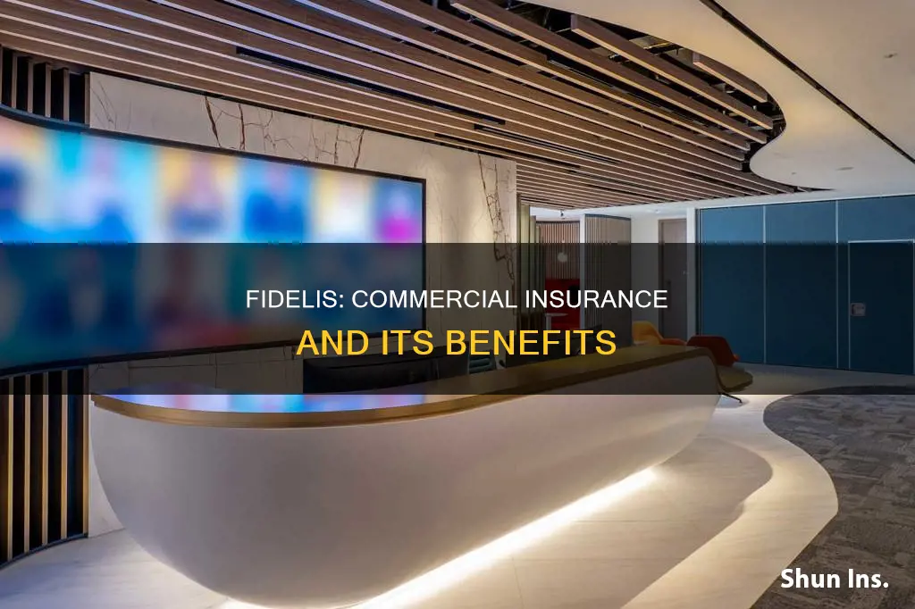 is fidelis a commercial insurance