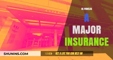 Is Fidelis a Major Insurance Provider? Exploring Coverage and Reputation