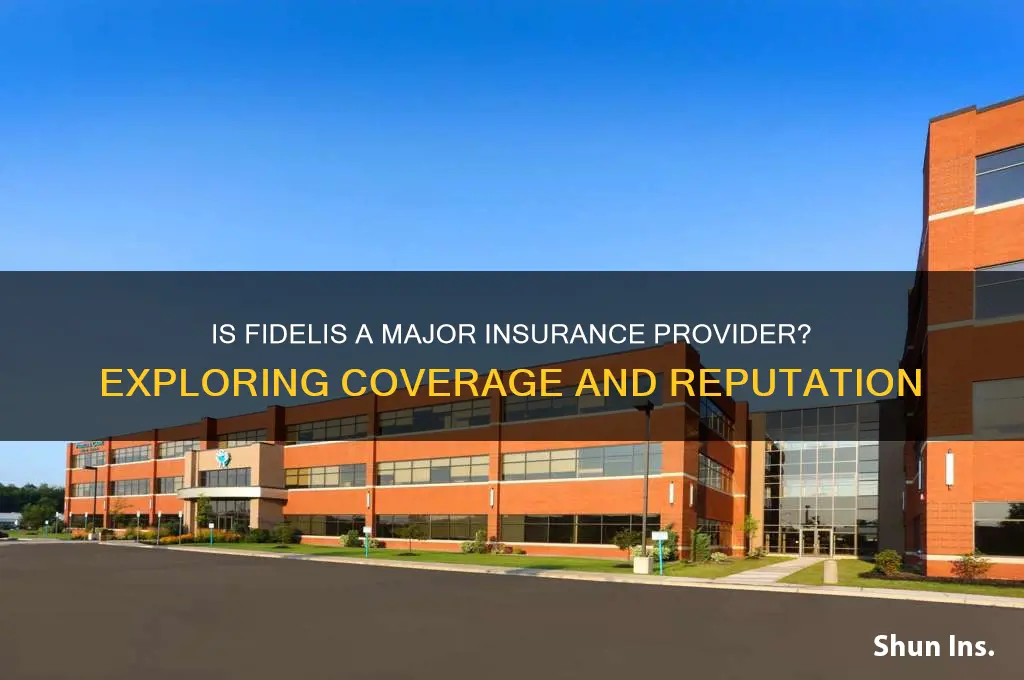 is fidelis a major insurance