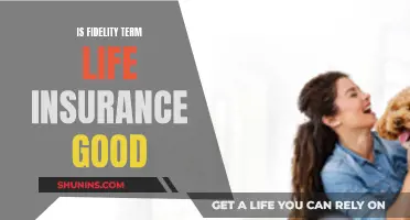 Fidelity Term Life Insurance: Is It Worth the Cost?