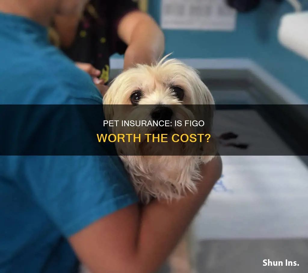 is figo pet insurance worth it