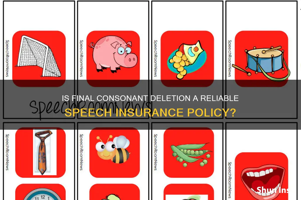 is final consonant deletion insurance