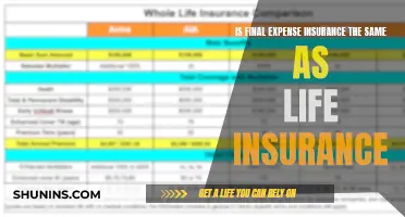 Final Expense Insurance: A Life Insurance Variant?