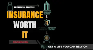 Financial Shortfall Insurance: Worth the Cost?