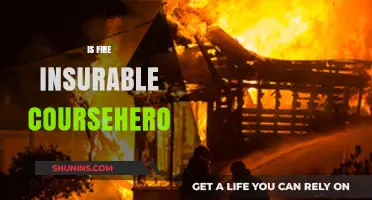 Is Fire Insurable? Understanding Coverage and Risks on Course Hero