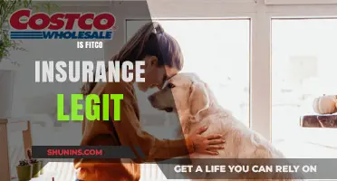 Is Fitco Insurance Legit? A Comprehensive Review and Analysis