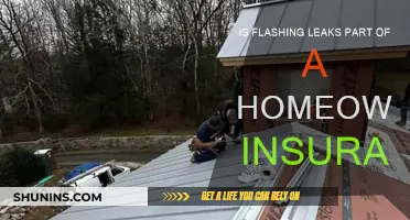 Home Insurance: Are Flashing Leaks Covered?
