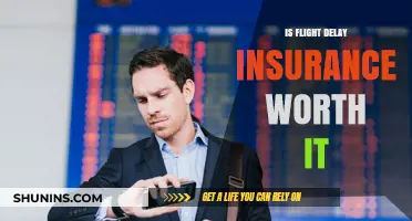 Flight Delay Insurance: Worth the Cost?