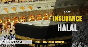 Is Flight Insurance Halal? Exploring Islamic Perspectives on Travel Coverage