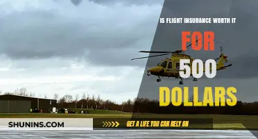 Flight Insurance: Worth the Peace of Mind?