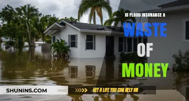 Flood Insurance: Worth the Cost?
