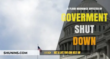 Flood Insurance: Government Shutdown's Impact