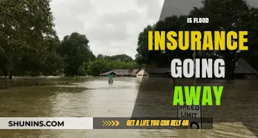 Flood Insurance: Will It Disappear?