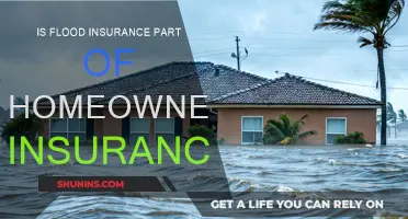 Flood Insurance: What's Covered Under Homeowners Insurance?