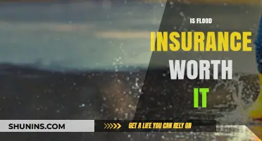 Flood Insurance: Worth the Cost?