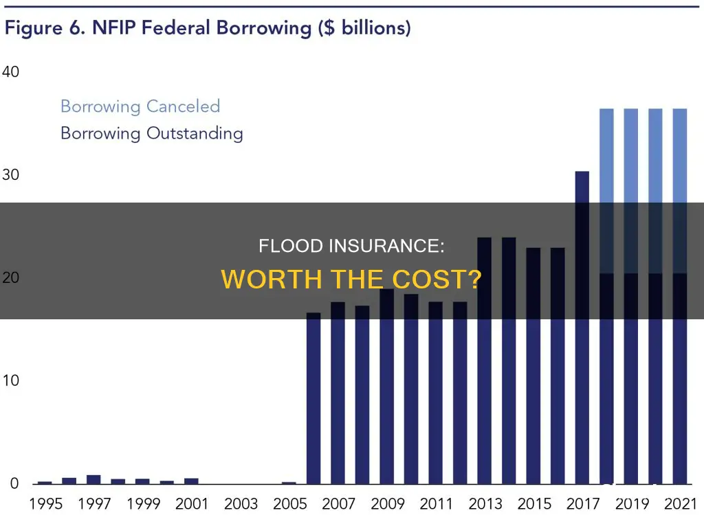 is flood insurance worth it