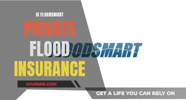 FloodSmart: Private Flood Insurance Explained