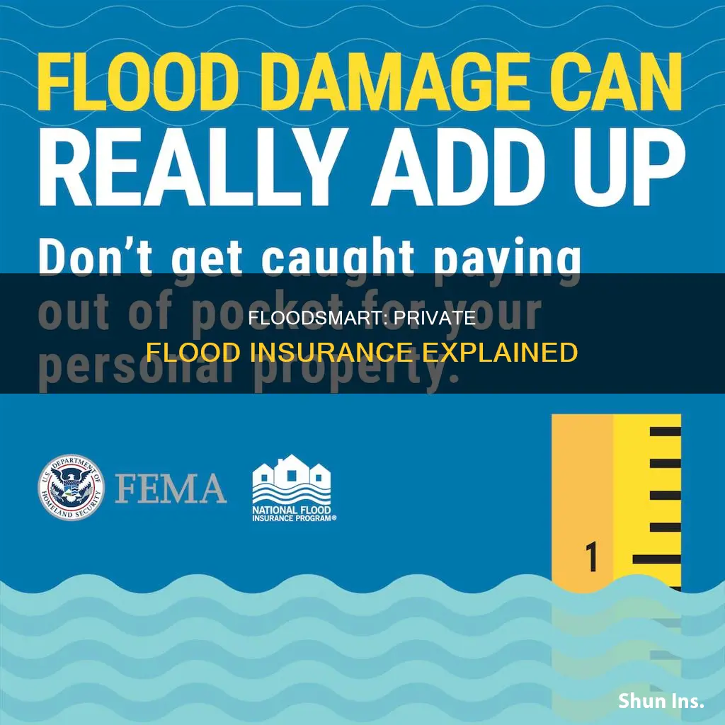 is floodsmart private flood insurance