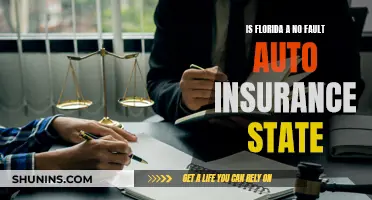 Florida's No-Fault Auto Insurance: What You Need to Know