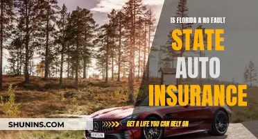 Florida Auto Insurance: Understanding No-Fault State Regulations