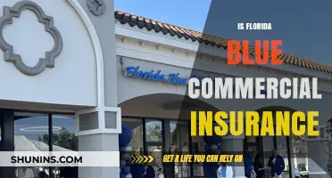 Blue Cross Blue Shield: Florida's Best Commercial Insurance Option