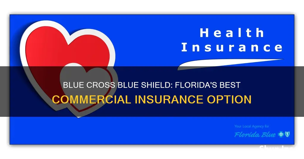 is florida blue commercial insurance