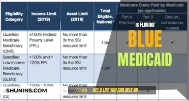 Understanding Florida's Blue Medicaid Program: Coverage and Benefits