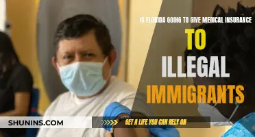 Florida's Medical Insurance Plans: Immigrants' Access Explored