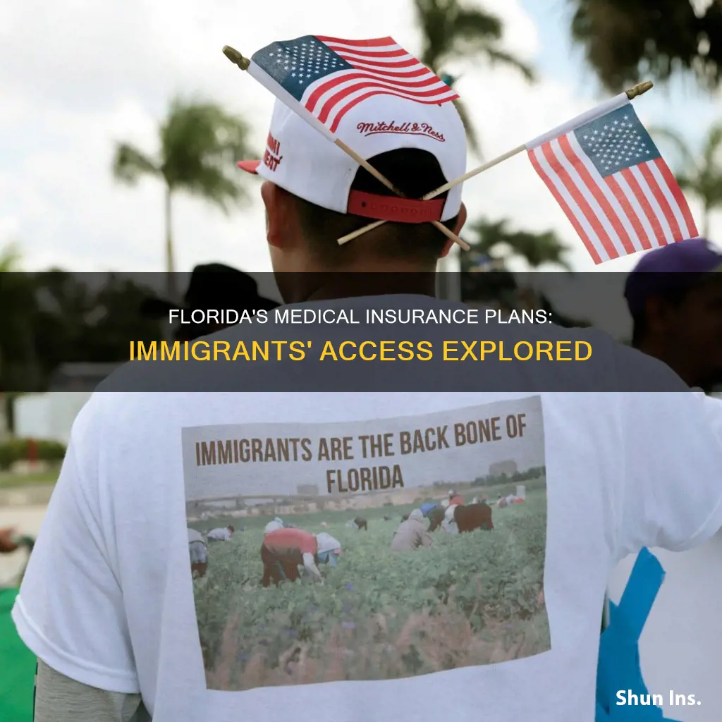 is florida going to give medical insurance to illegal immigrants