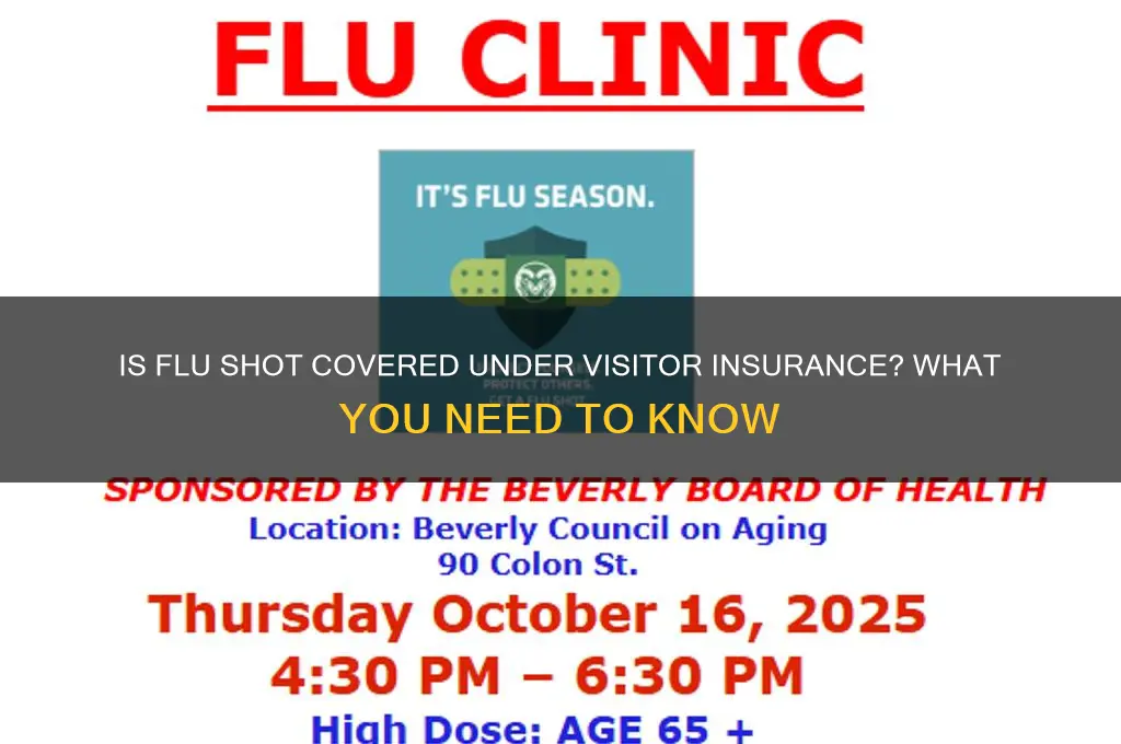 is flu shot free with visitor insurance