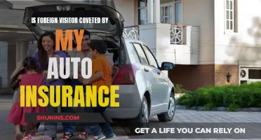 Foreign Visitors: Are They Covered by My Auto Insurance?