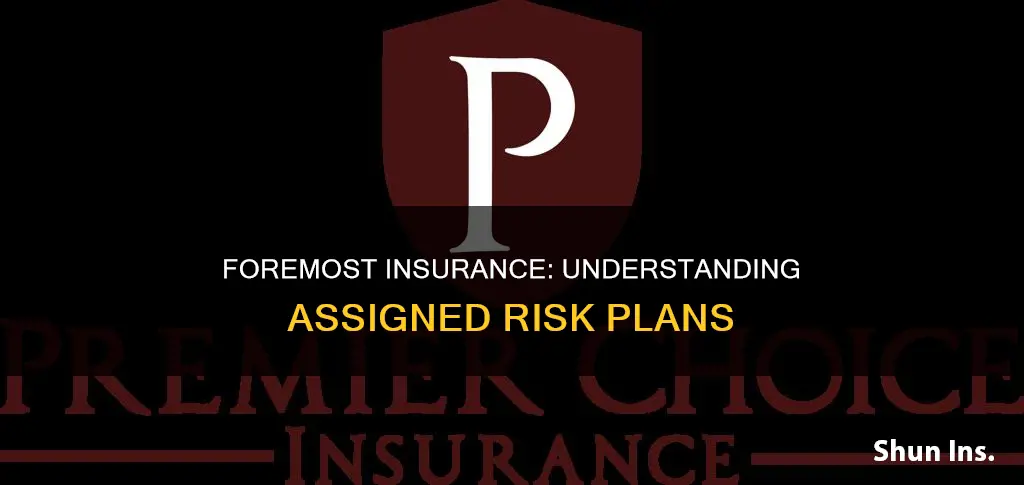 is foremost insurance assigned risk