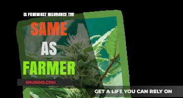 Foremost Insurance vs. Farmers: Understanding the Key Differences