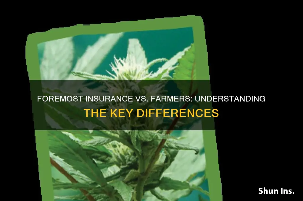 is foremost insurance the same as farmer