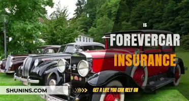 Is Forever Car Insurance Worth It? Pros, Cons, and Key Insights